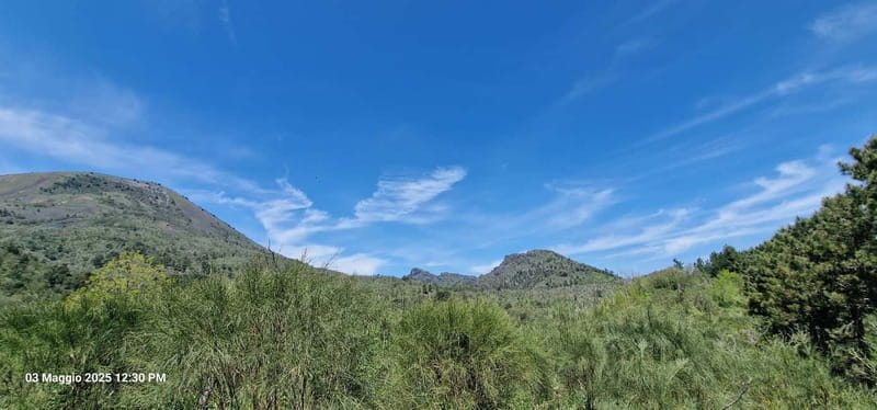 Vesuvius Vulcano National Park: Guided Hike with Enzo. - FAQs