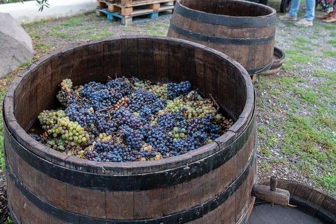 Vesuvius Wine Tasting Experience with Lunch Included - Who Is This Tour Best For?