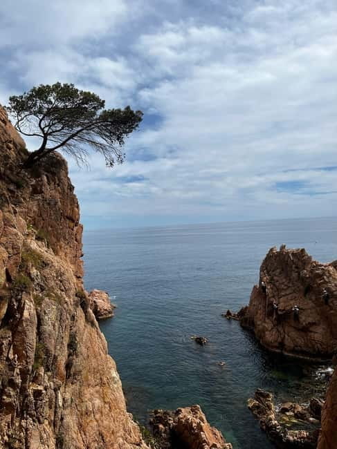 Via Ferrata Adventure in Costa Brava + Transport - Key points / Takeaways