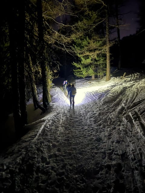 Vialattea: Night Snowshoeing under the Stars - Equipment and Safety: Preparedness Matters
