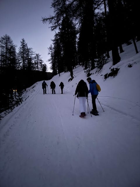 Vialattea: Night Snowshoeing under the Stars - Unique and Authentic Aspects