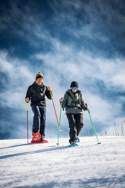 Vialattea: Snowshoeing in the Snowy Forest - Vialattea: Snowshoeing in the Snowy Forest — An Authentic Winter Adventure
