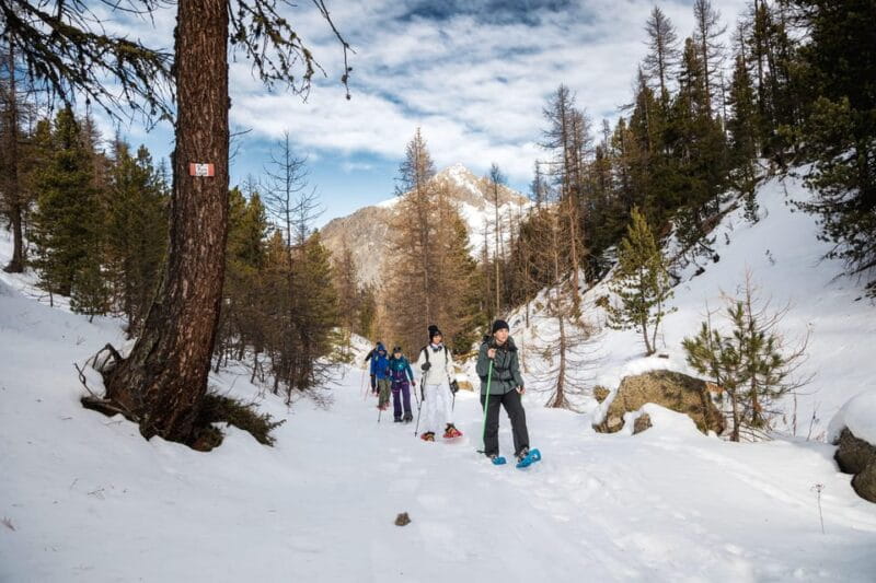 Vialattea: Snowshoeing in the Snowy Forest - Key Points / Takeaways
