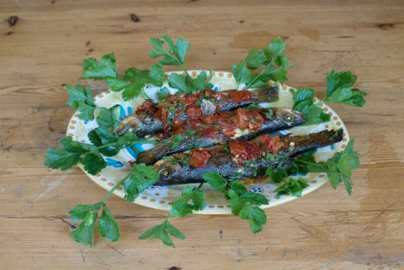 Viareggio: Cooking Class at a Local's Home - Why You Should Consider This Cooking Class