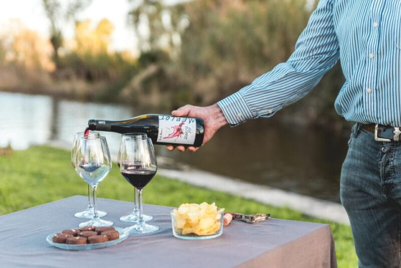 Viareggio: Marshes Electric Boat Tour with Wine Tasting - Exploring the Padule: An Unusual Natural and Cultural Treasure