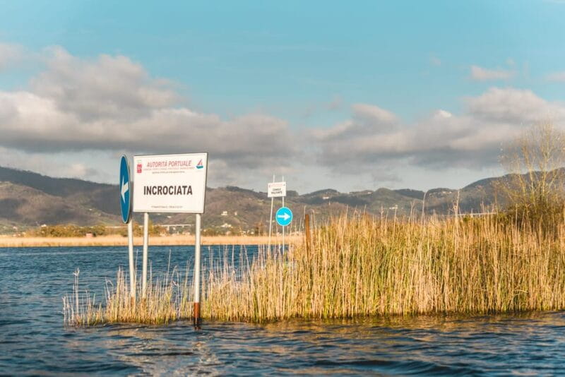 Viareggio: Marshes Electric Boat Tour with Wine Tasting - The Tasting Experience: Wine and Local Biscuits