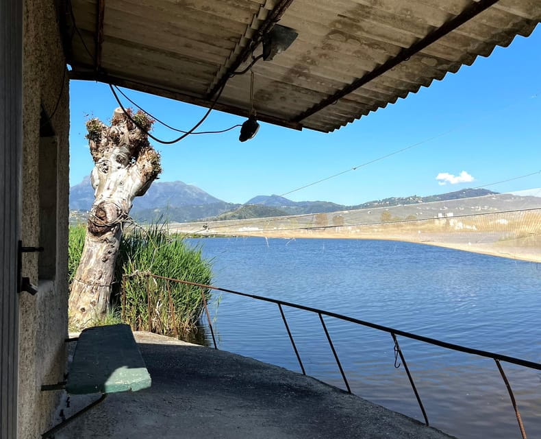 Viareggio: Natural Reserve Sunset Canoe Tour with Aperitif - A Deep Dive into the Sunset Canoe Experience in Tuscany