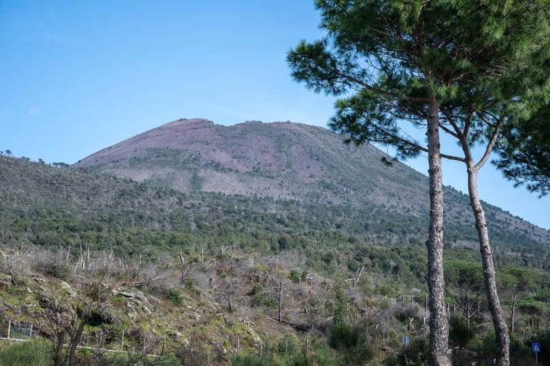 Vico Equense: Pompeii and Mount Vesuvius Guided Tour - Lunch Break: Fuel for the Next Stage