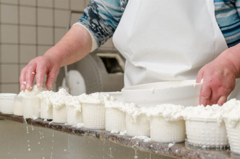 Vico Equense: Tour in the dairy "Mozzarella Experience" - Discovering the Cheese-Making Tradition