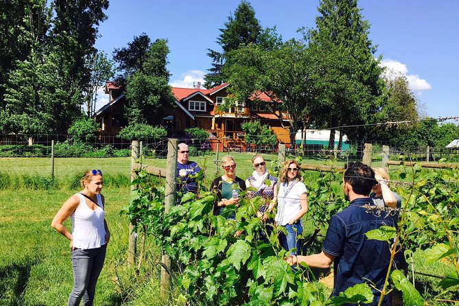 Victoria Wine Tour With Wine Tastings and Charcuterie - Whats Included