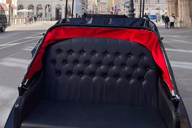 Vienna: 60 min. Royal E-Carriage Sightseeing Tour with Drinks - Drinks and the Leisurely Feel