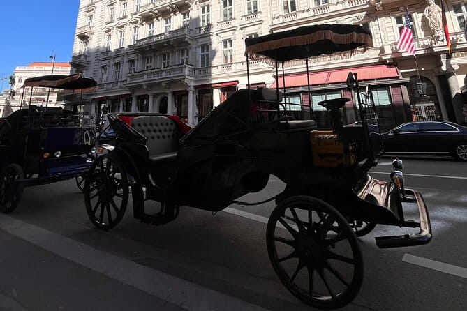 Vienna: 60 min. Royal E-Carriage Sightseeing Tour with Drinks - Who Will Love This Tour?