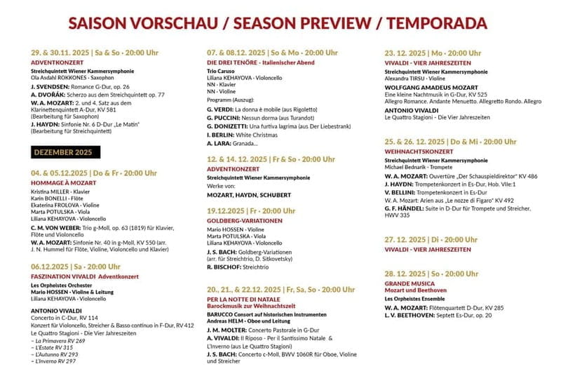 Vienna: Advent, Christmas and New Year's Concerts - Included in Your Ticket and Practical Details