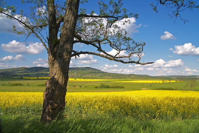 Vienna-Budapest One-Way Sightseeing Transfer - What makes this tour stand out?