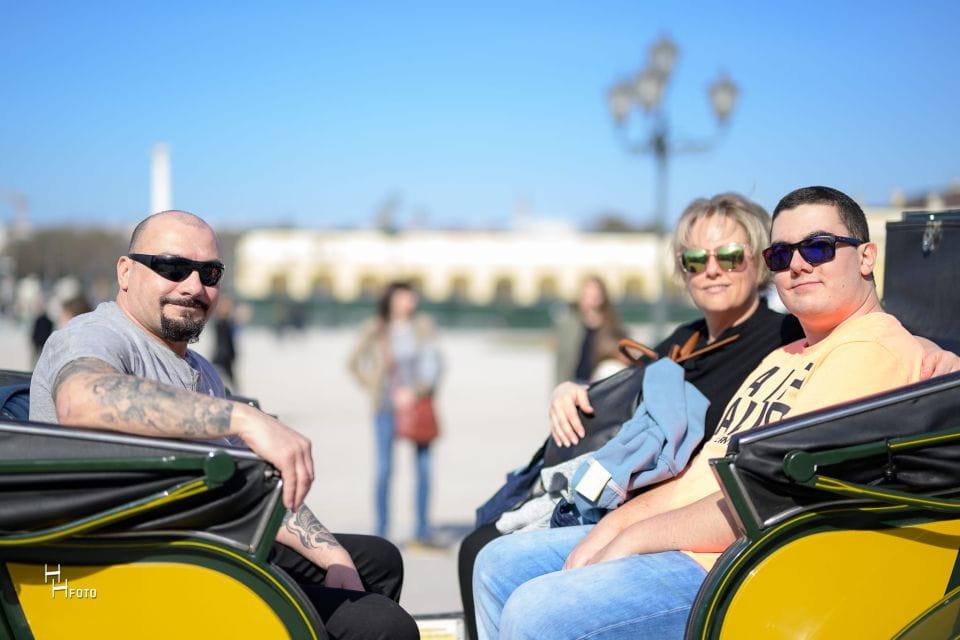 Vienna: Carriage Ride Through Schönbrunn Palace Gardens - Highlights of the Experience