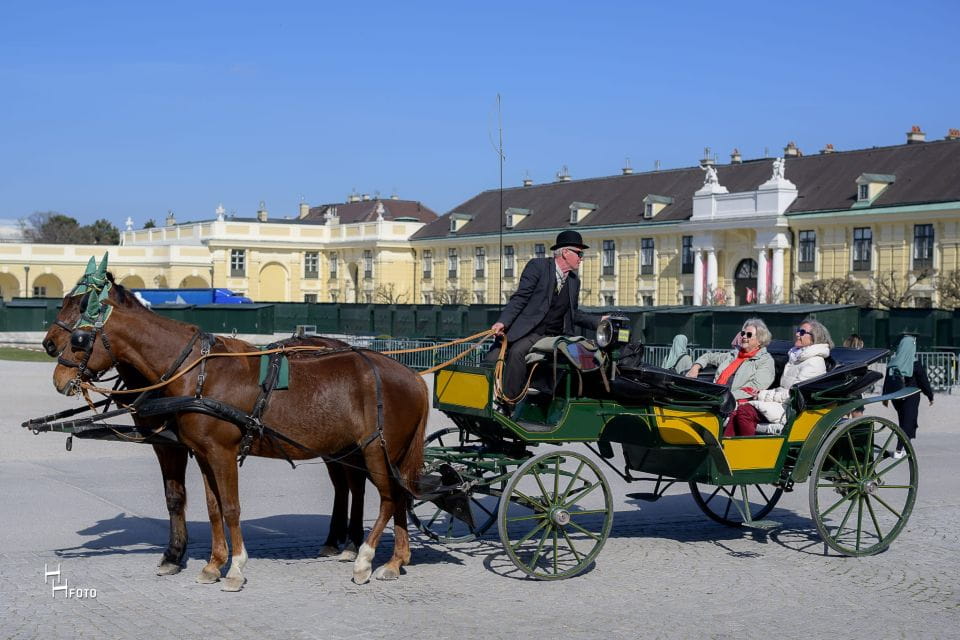 Vienna: Carriage Ride Through Schönbrunn Palace Gardens - Meeting the Viennese Fiaker