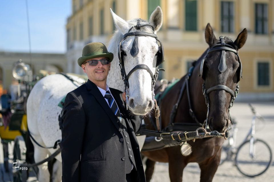 Vienna: Carriage Ride Through Schönbrunn Palace Gardens - Hearing Viennese History and Traditions