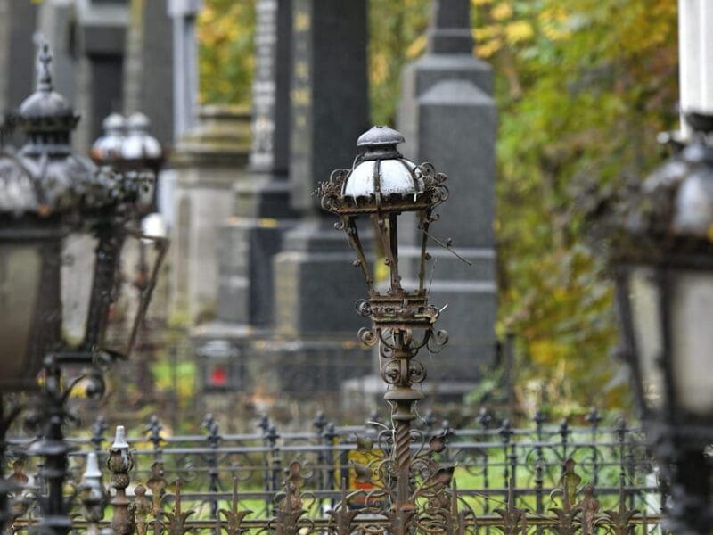 Vienna: Central Cemetery, guided walking tour with fascinating secrets - Exploring Vienna’s Graveyard of Legends and Art