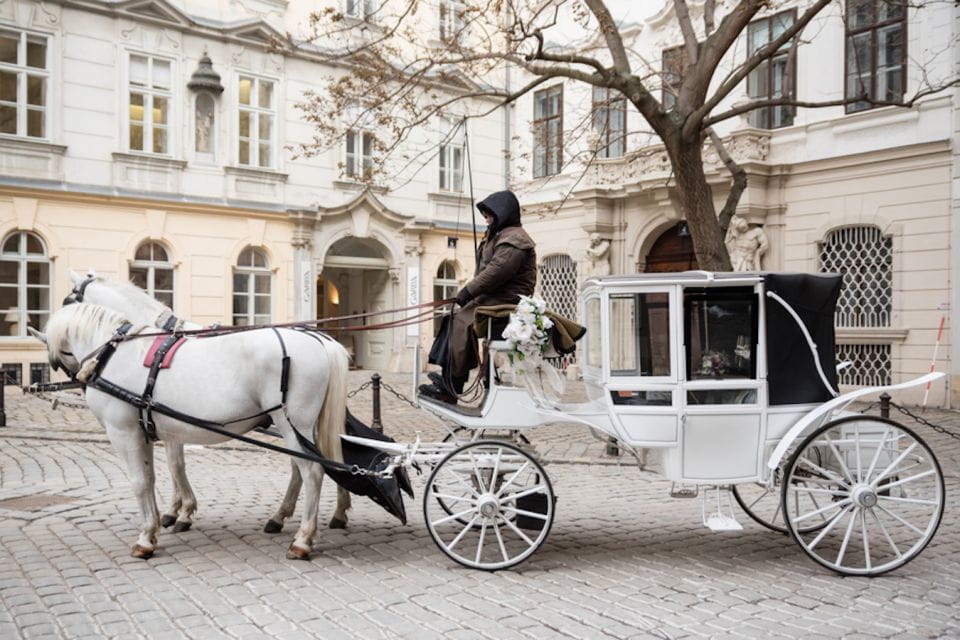 Vienna: Culinary Horse-Drawn Carriage Experience - Frequently Asked Questions