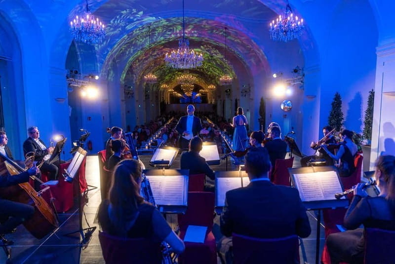 Vienna: Dinner & Concert at Schönbrunn Palace - Who Will Love This Experience?