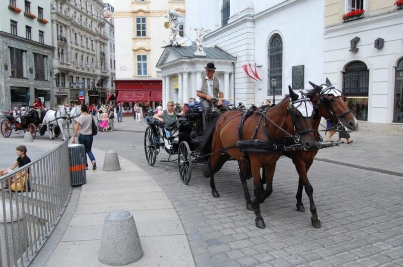 Vienna Full Day Tour from Prague - Who Is This Tour Best For?