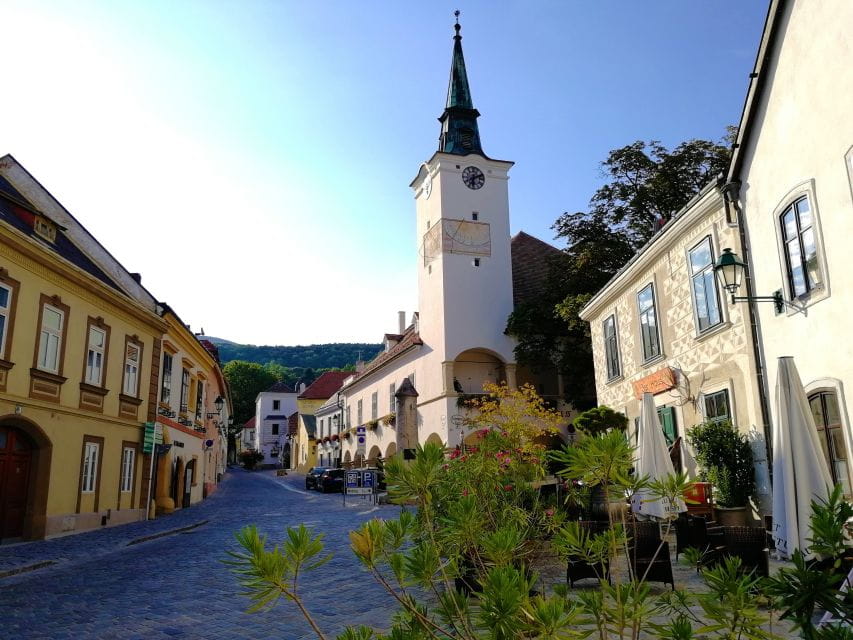 Vienna: Full-Day Vienna Woods Wine Tasting Tour - Summer Tour Highlights