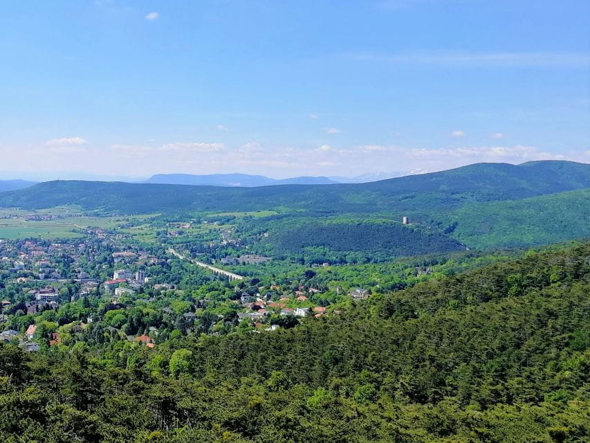 Vienna: Full-Day Vienna Woods Wine Tasting Tour - Winter Tour Highlights