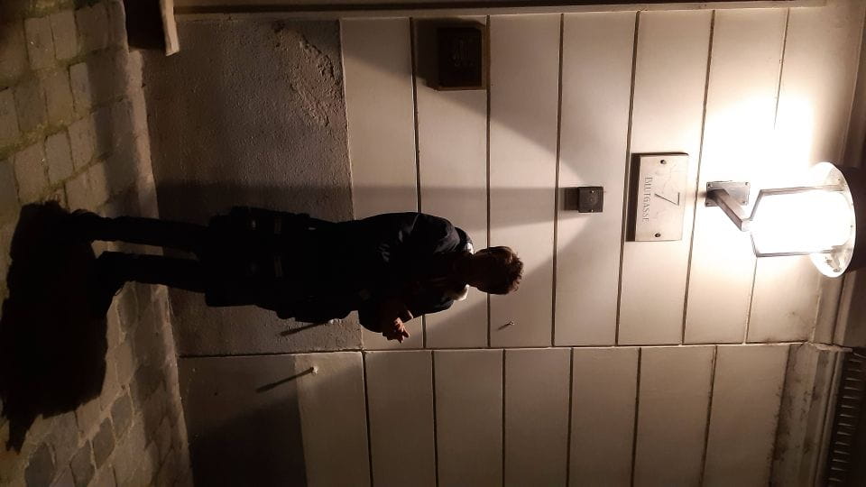 Vienna: Guided Ghost Tour of Spooky Vienna - Inclusions and Exclusions