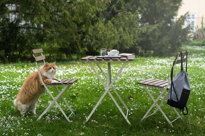 Vienna: Klimt Villa (Gustav Klimt Atelier & Museum) Ticket - Price and Logistics