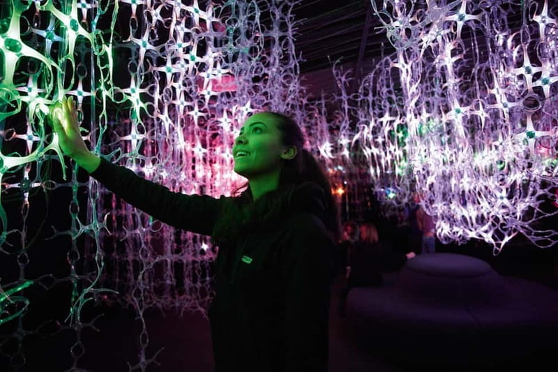 Vienna: Mythos Mozart Experience Ticket& Guided Walking Tour - Key Points / Takeaways