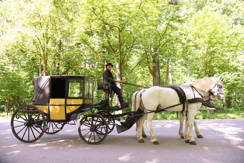 Vienna Porcelain Carriage - A discreet Prater carriage ride for adults - Who Should Consider This Experience?