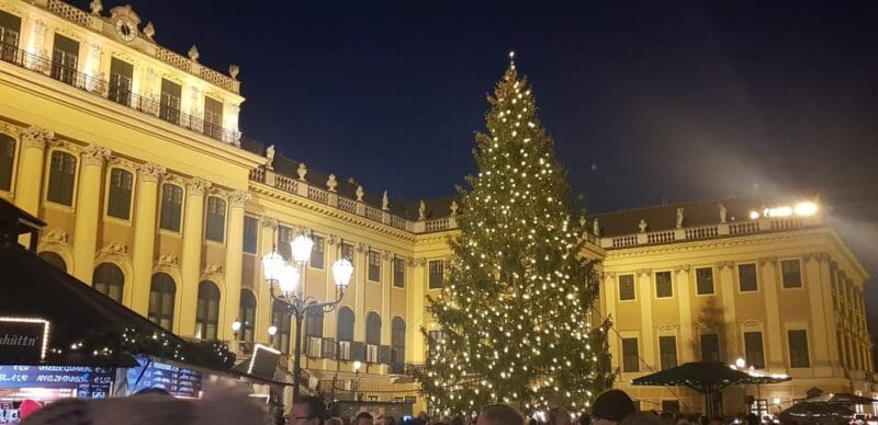 Vienna: Private Christmas Markets Tour with Drink & Snack - FAQ