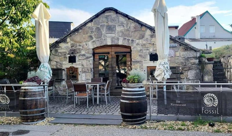 Vienna: Private tour Lake Neusiedl, Rust (wine tasting) Purbach - Key Points / Takeaways