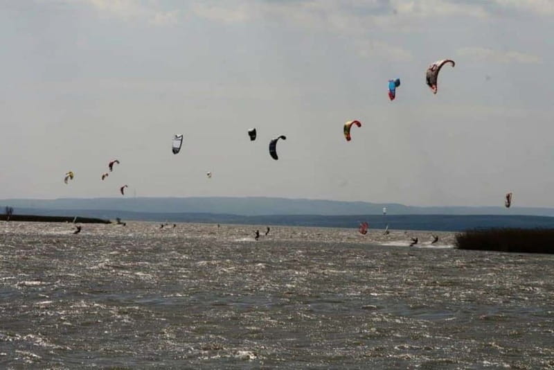 Vienna: Private tour Lake Neusiedl, Rust (wine tasting) Purbach - Price and Value Analysis