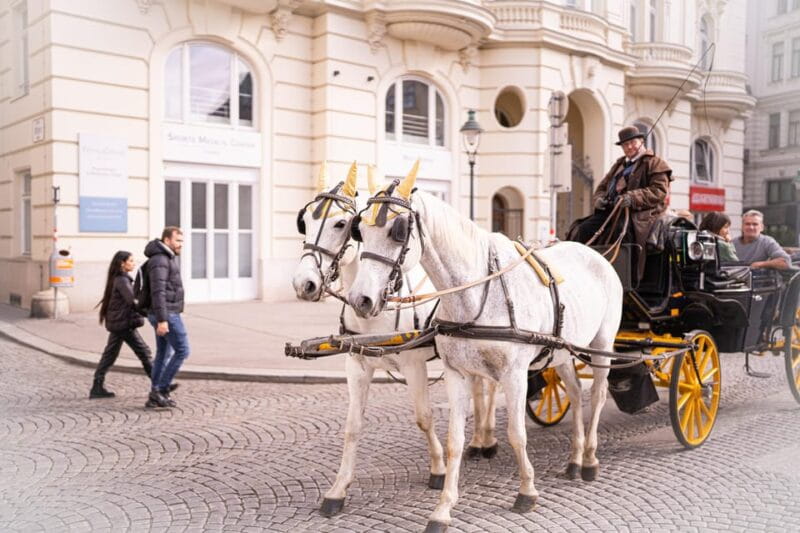 Vienna: Romanian Heritage and Christmas Markets Guided Tour - Discovering Vienna’s Romanian Heritage and Christmas Spirit