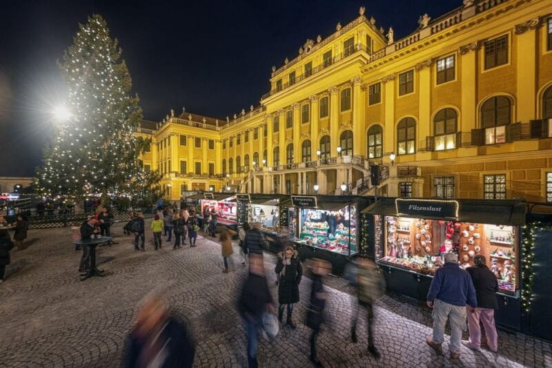 Vienna: Schönbrunn Palace & Christmas Market Walking Tour - Key Points / Takeaways