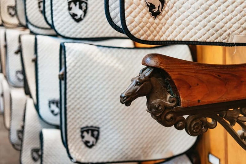 Vienna: Spanish Riding School Guided Architectural Tour - Practical Details and Who This Tour Suits