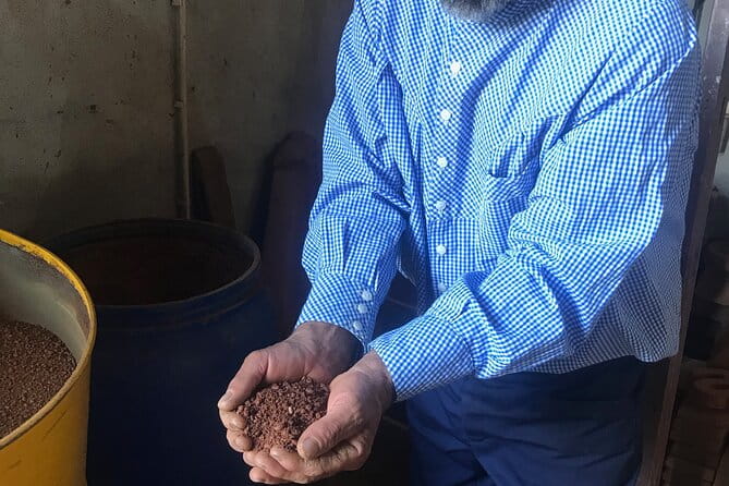 Vienna Wine Experience - Why This Tour Stands Out