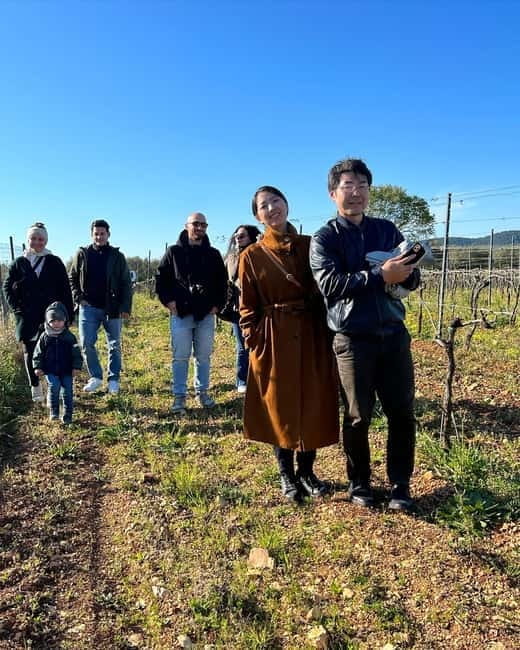 Vieste: Wine Tasting & Vineyard Walk to Cantine Merinum - Key Points / Takeaways