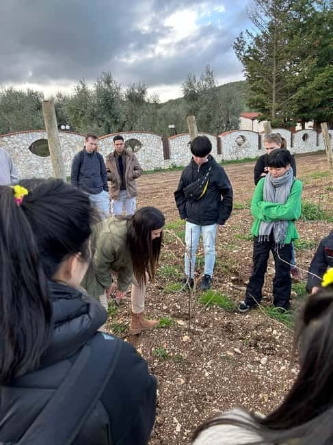 Vieste: Wine Tasting & Vineyard Walk to Cantine Merinum - Who Will Love This Experience?