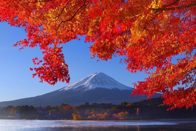 View of Mt. Fuji Is Good! Sushi Making Experience Class - Highlights of the Sushi Making Experience