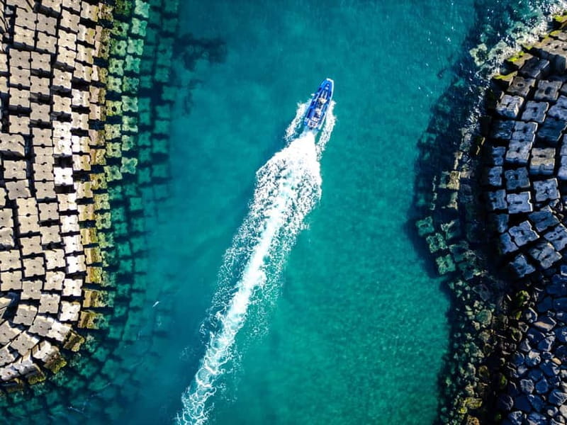 Vila Franca do Campo: Bird Watching & Snorkeling - Key points / Takeaways