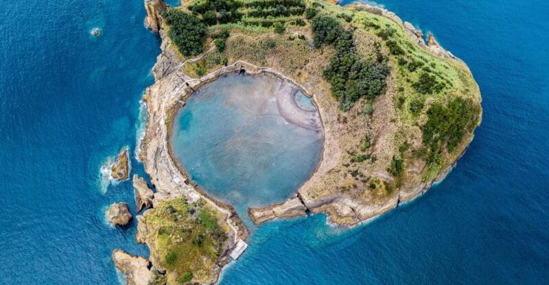Vila Franca do Campo: Boat Tour Around Ilhéu - Wildlife and Marine Life: A Natural Show
