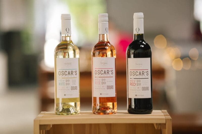 Vila Nova de Gaia: Douro Discovery - Price and Logistics: What You Need to Know