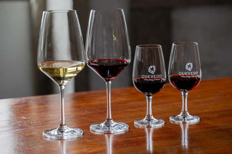 Vila Nova de Gaia: Port Wine Gourmet Pairing Experience - Pairings and Flavors