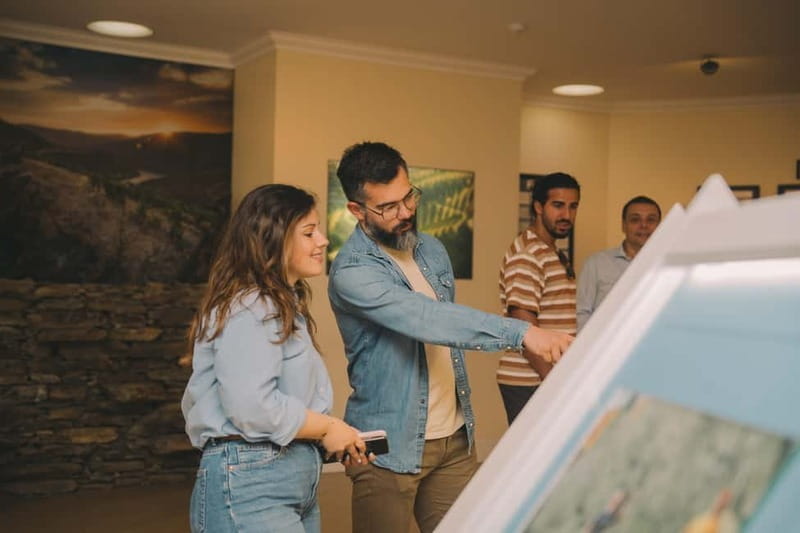 Vila Nova de Gaia: Taylor's Tawny Port Masterclass & Tour - A Closer Look at the Port Tasting