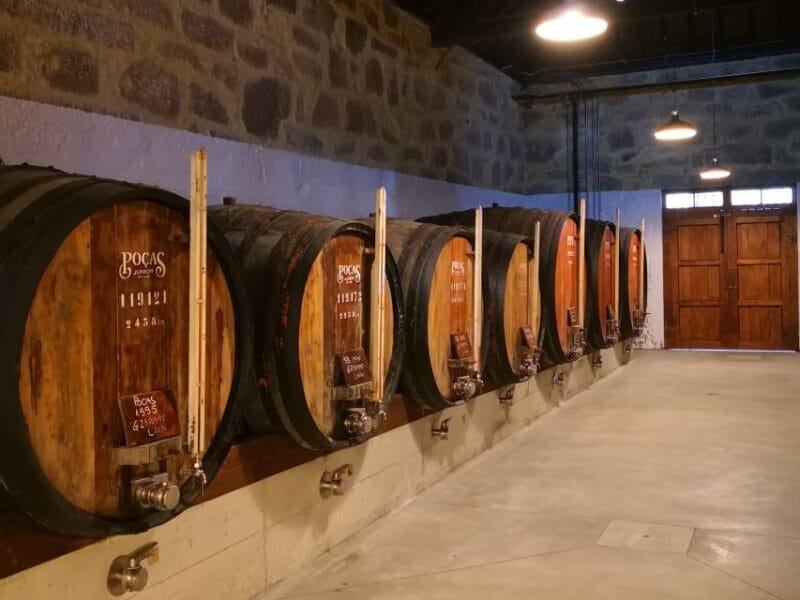 Vila Nova de Gaia: Winery Tour with 2 DOC Douro & 2 Ports - The Sum Up: Why This Tour is a Solid Choice for Wine & Culture Lovers