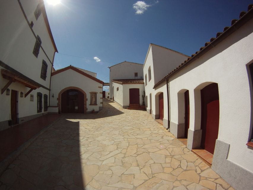 Vilafranca Del Penedès: Winery Visit With Tastings - Tasting Menu