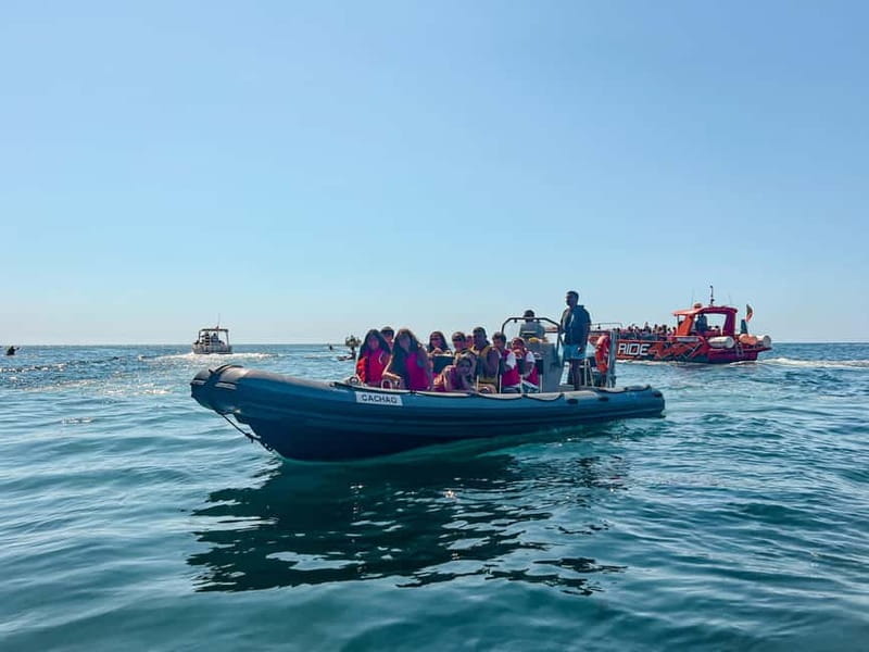 Vilamoura: Private Benagil Cave Tour Swim Stop - Price and Logistics: Analyzing the Value