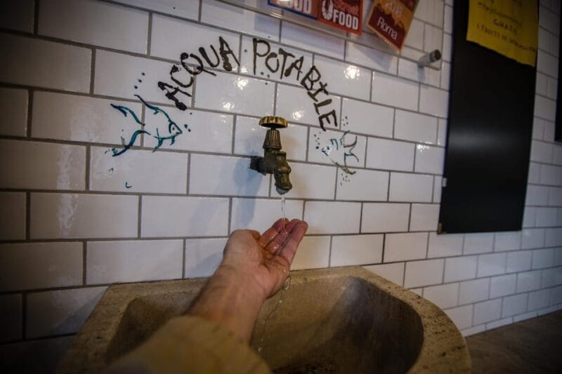 Villa Ada, Villa Borghese and Ponte Milvio: e-biking between nature and history - Price and Logistics: Fair Value for an Authentic Experience